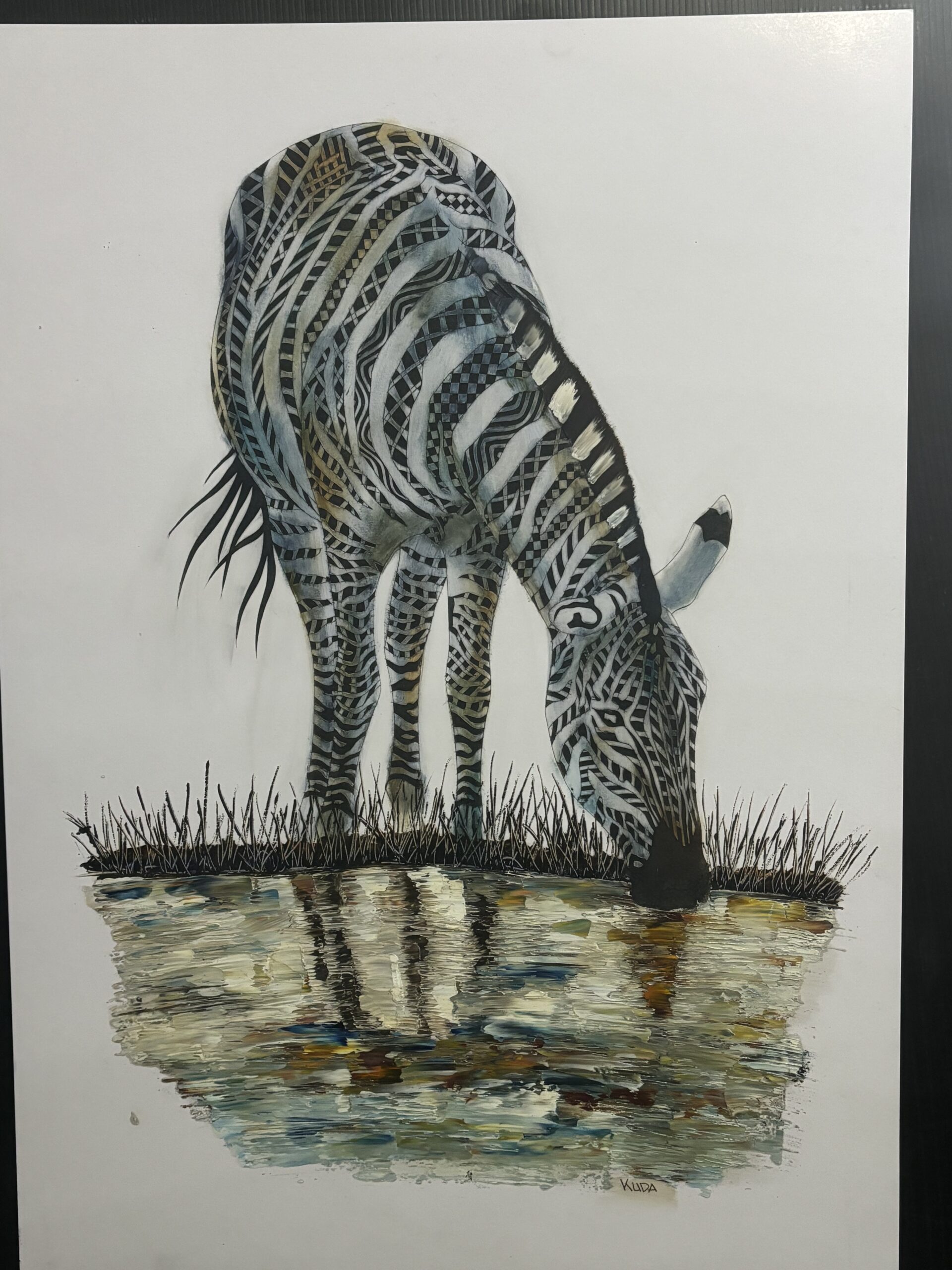 Zebra Drinking — Side View