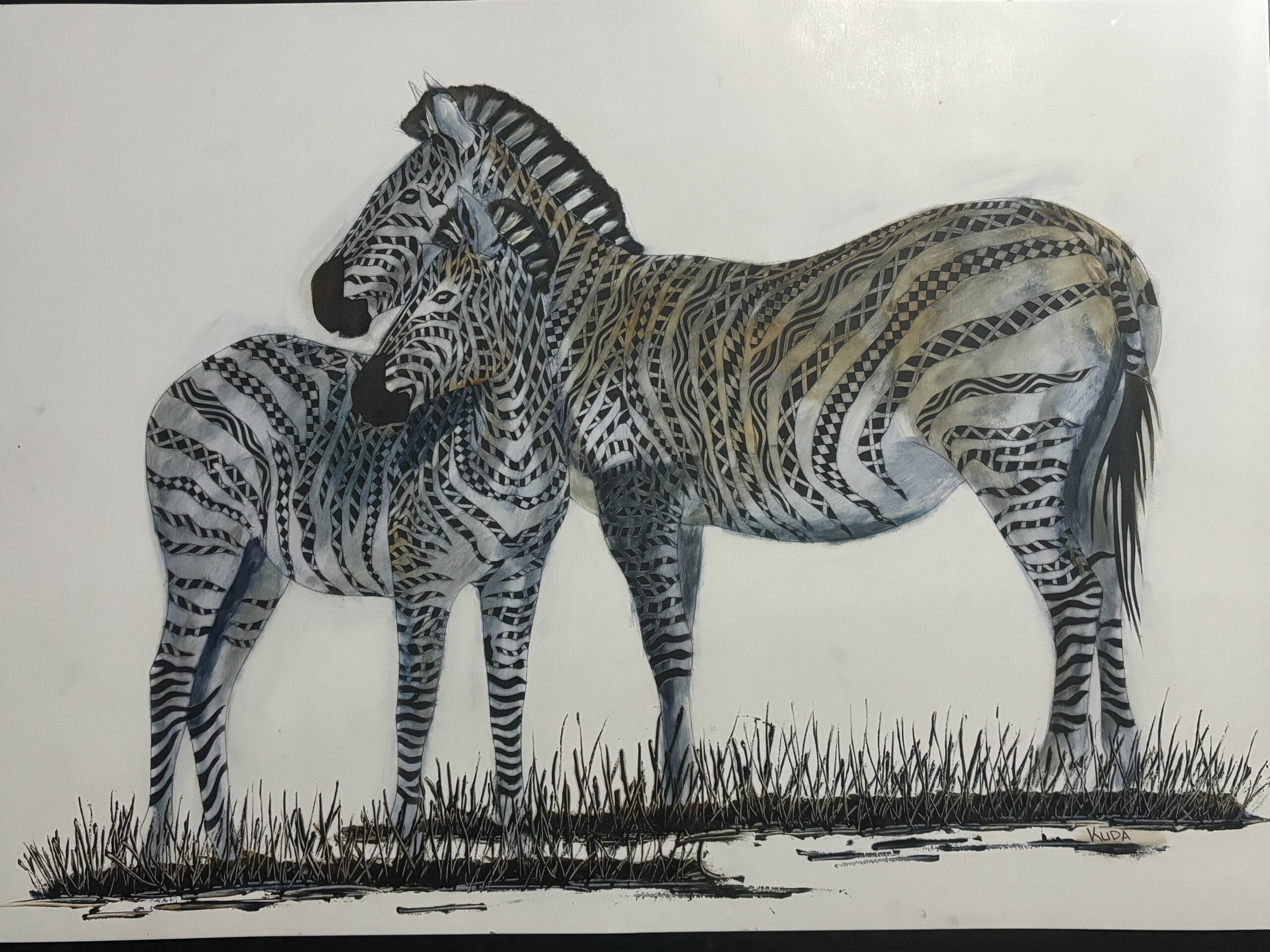 Zebra and Foal