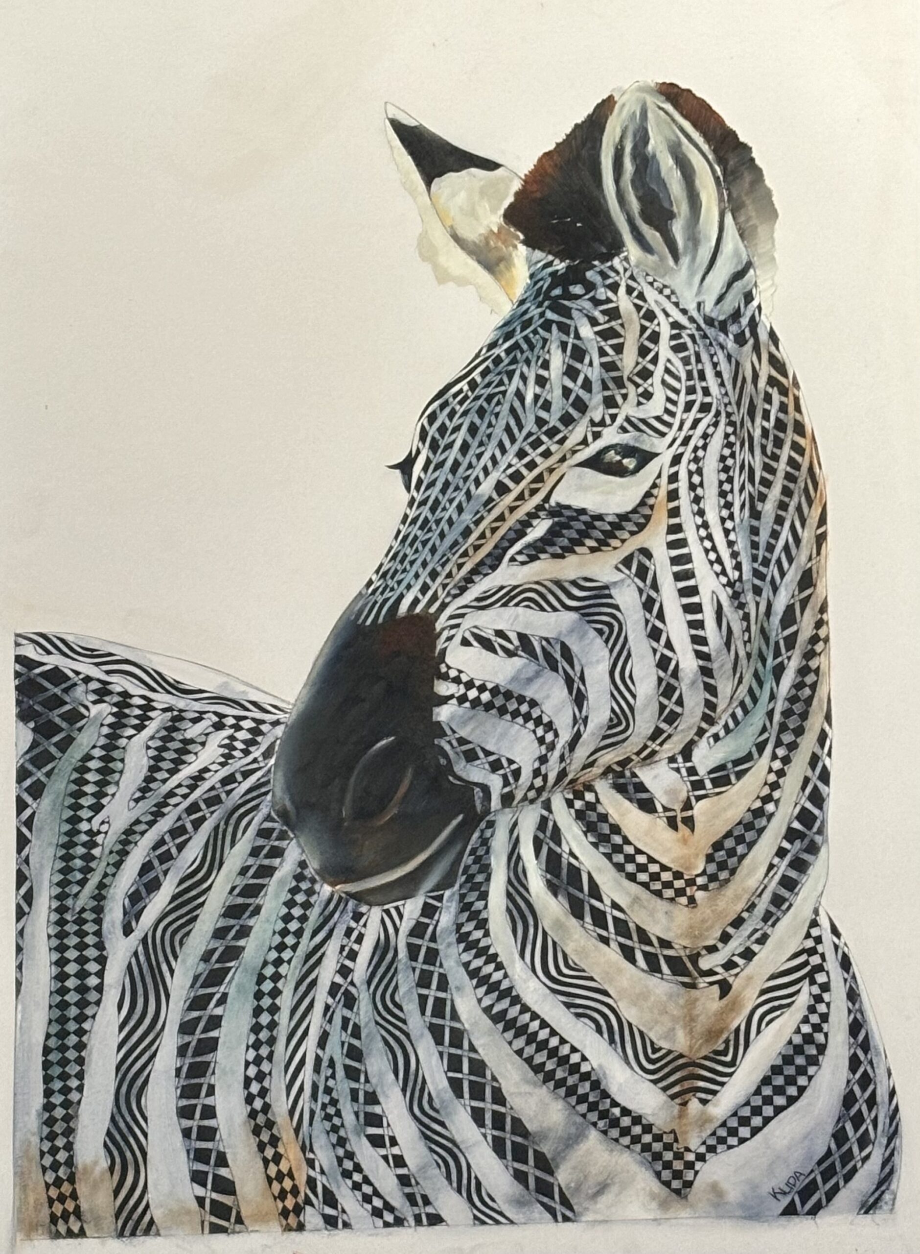 Zebra — Three-Quarter Portrait