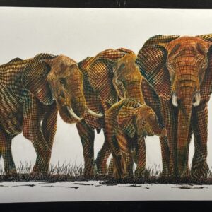 Elephant Family