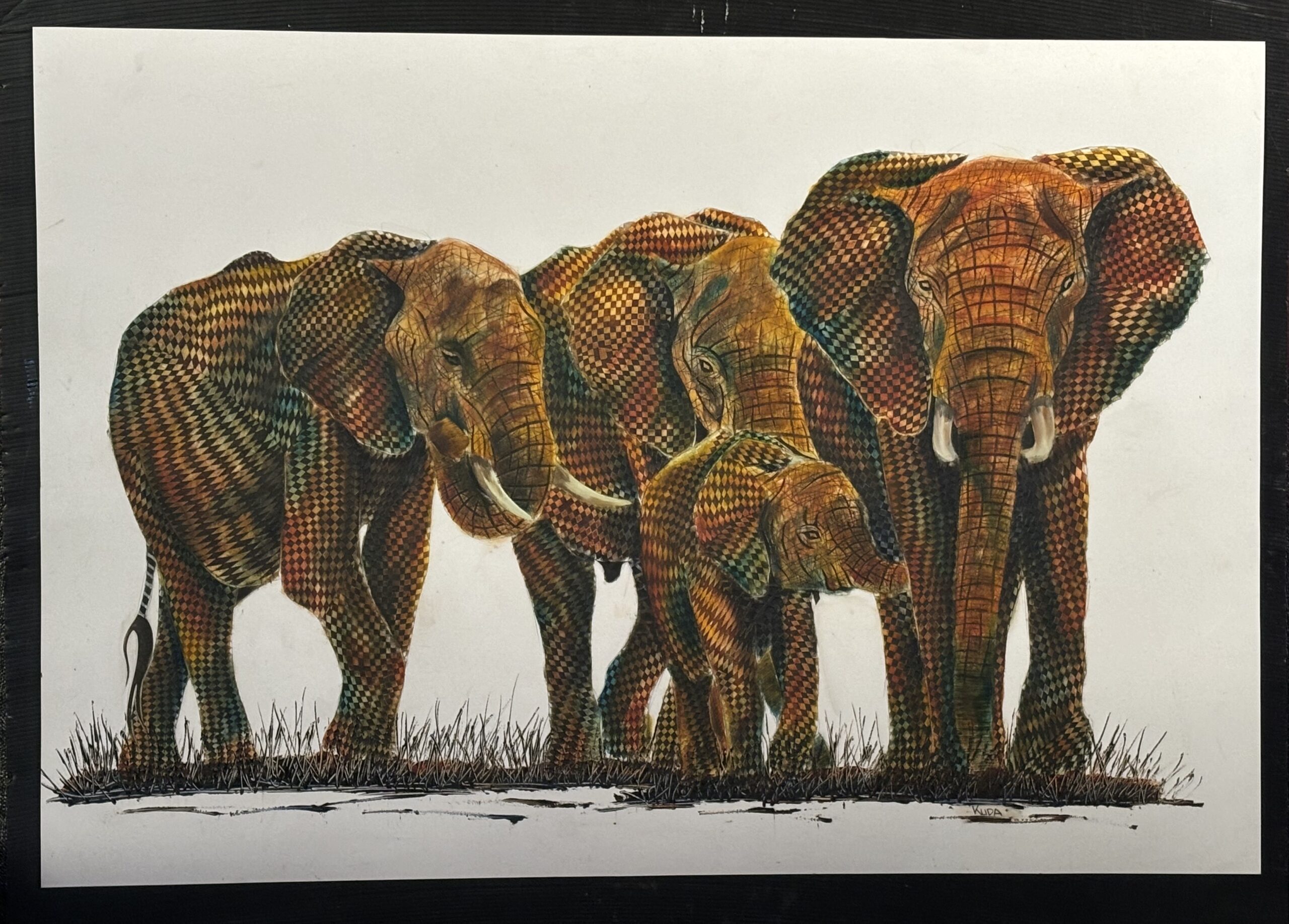 Elephant Family