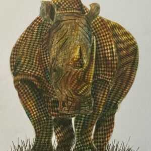 Rhinoceros — Front View