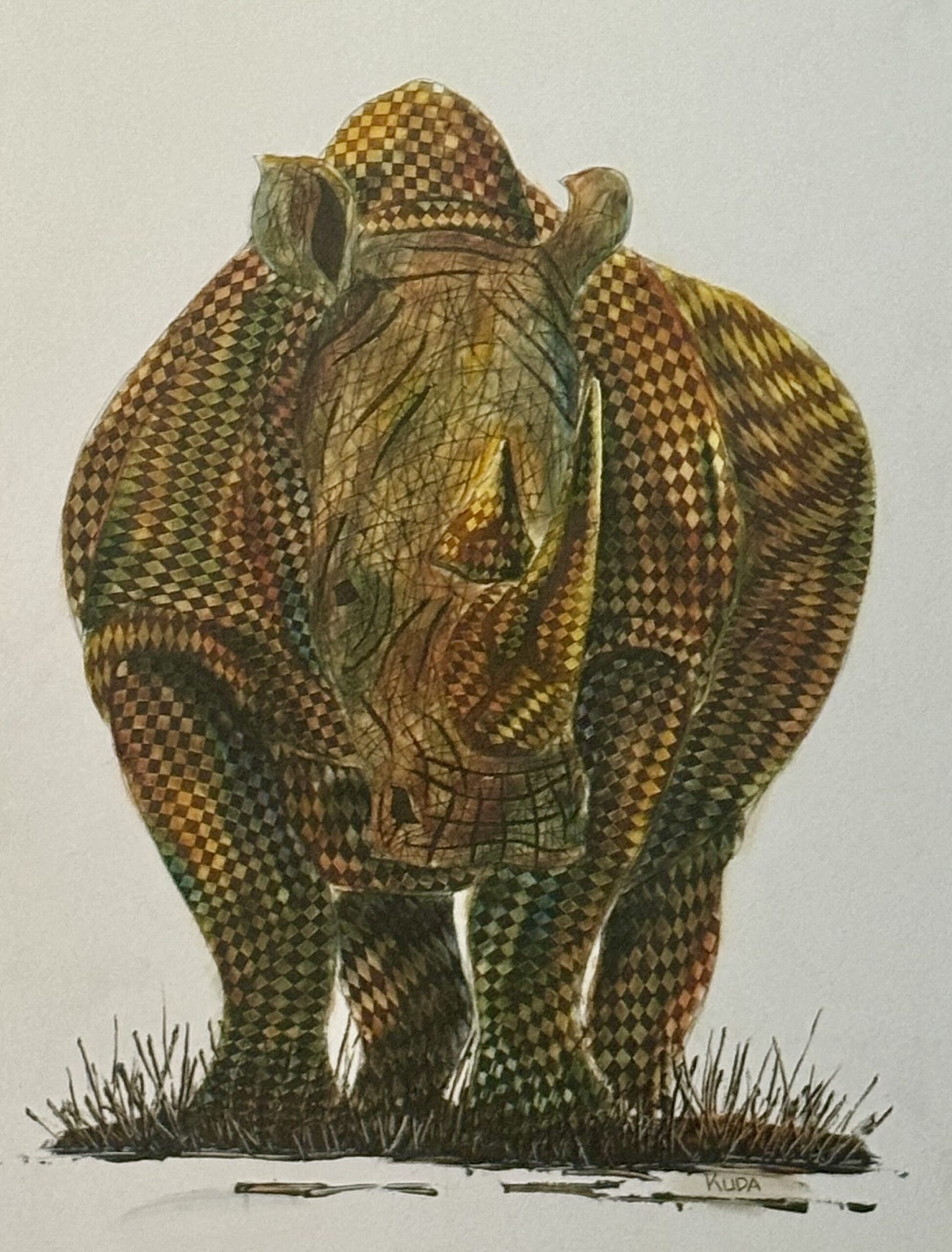 Rhinoceros — Front View