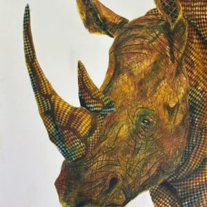 Rhinoceros — Close-Up Portrait