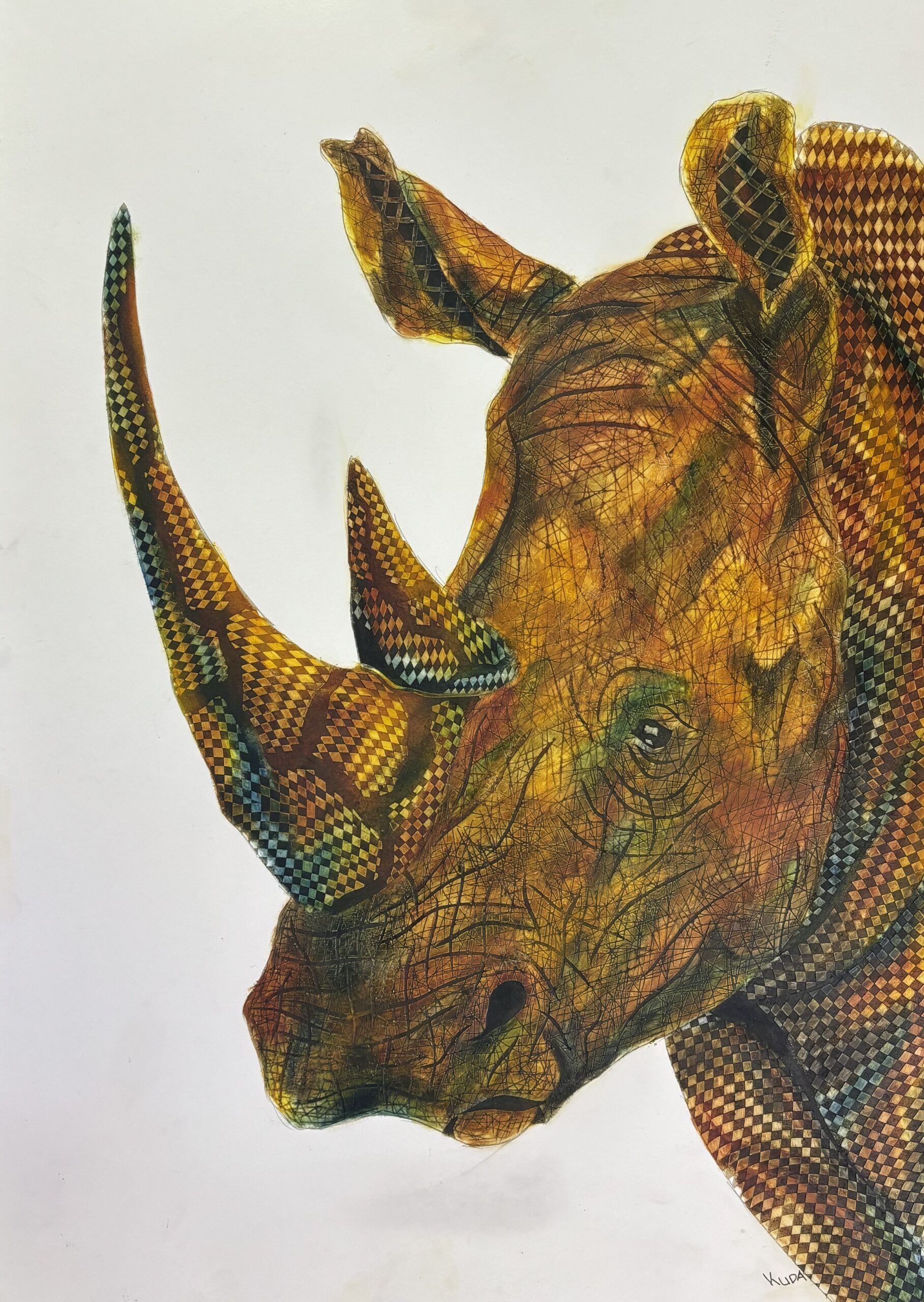 Rhinoceros — Close-Up Portrait
