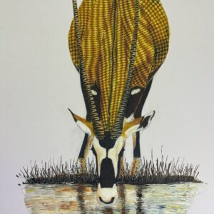 Oryx Drinking
