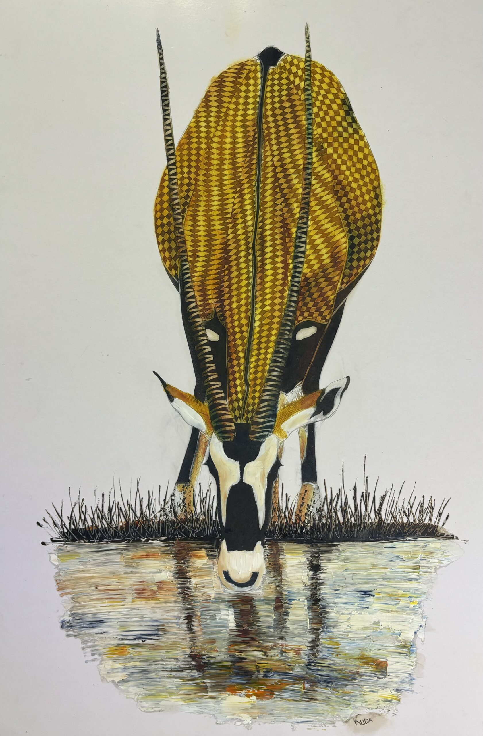 Oryx Drinking